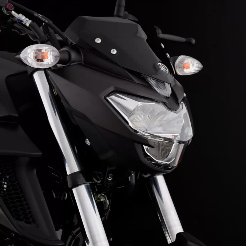 Yamaha FZ 250 - Imagen 3